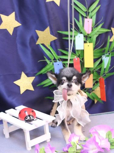 20230707ラッキーくん